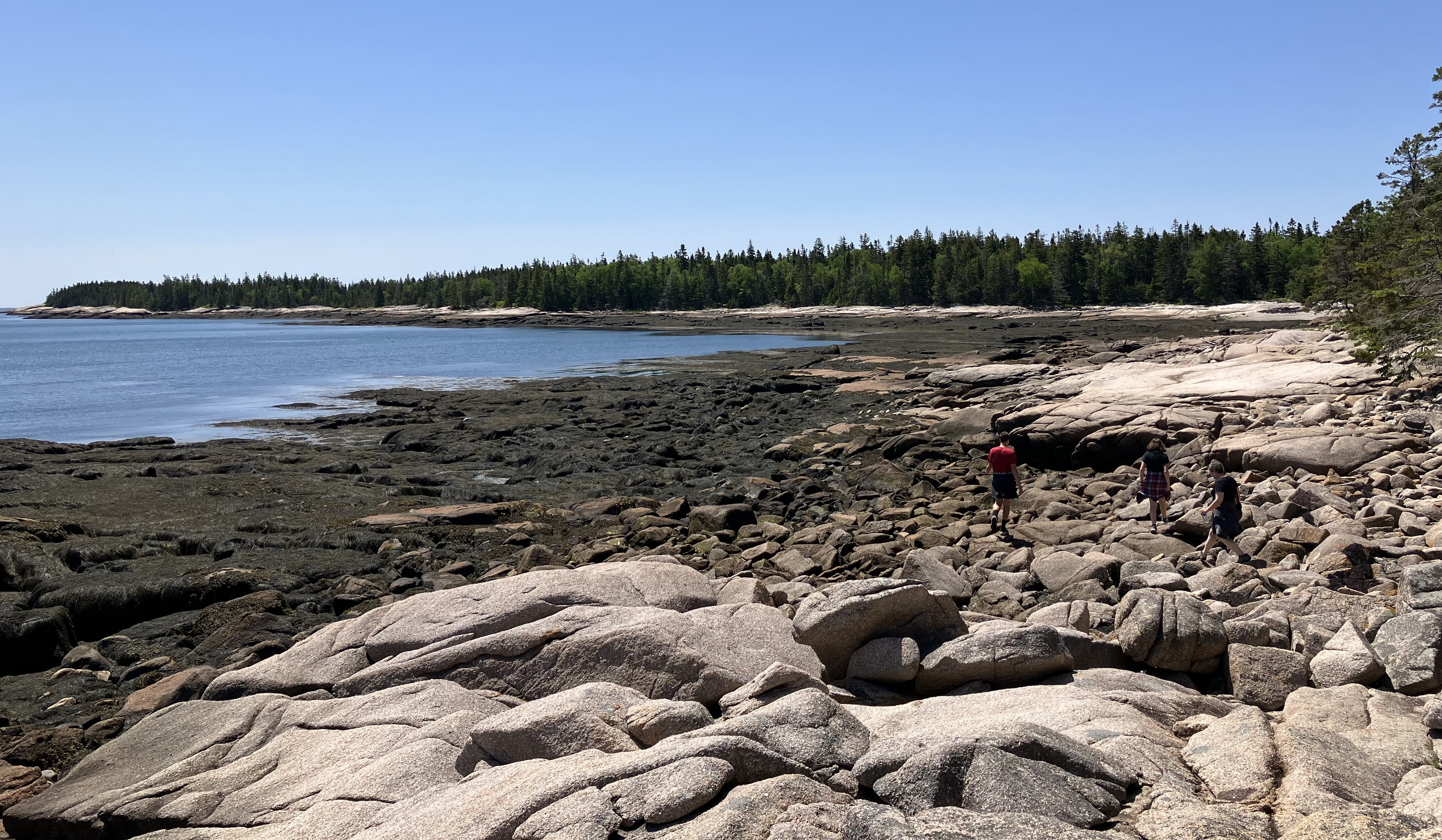 picture of a rocky shoreline in Maine